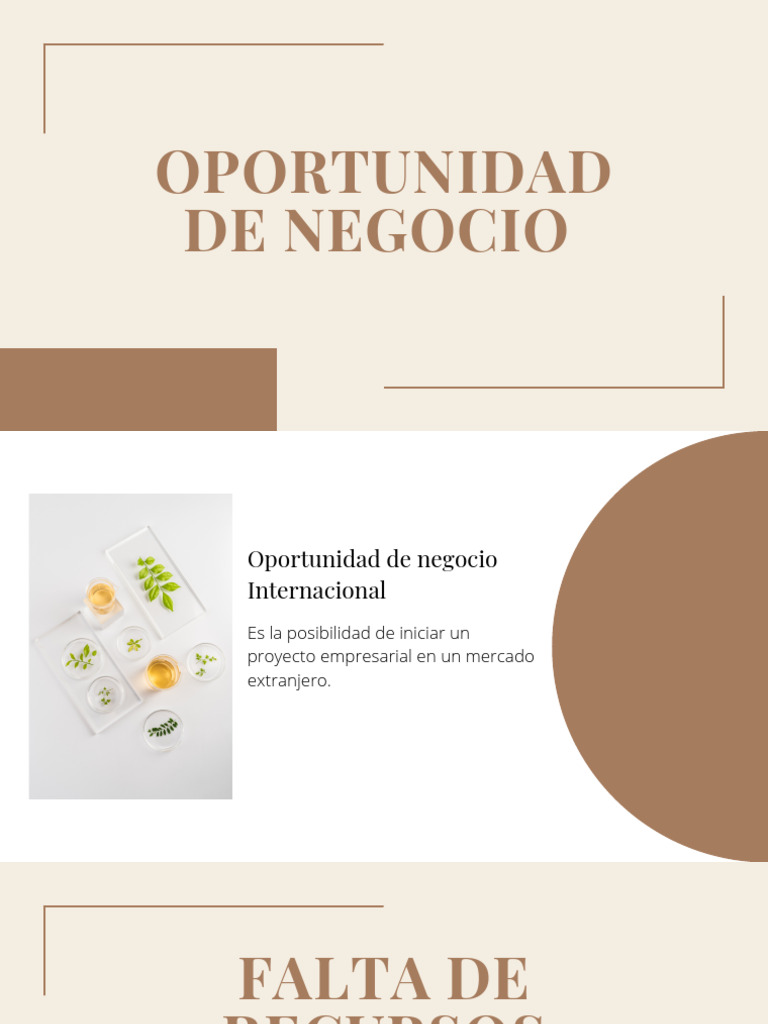 Oportunidad de Negocio | PDF
