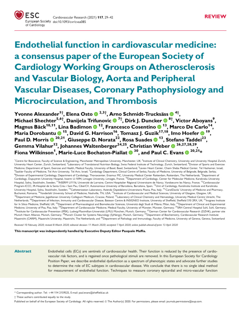 Endothelial Function in Cardiovascular Health | PDF | Endothelium ...