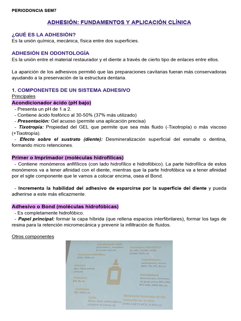Adhesión en Odontología: Fundamentos Clave | PDF | Adhesión | Diente