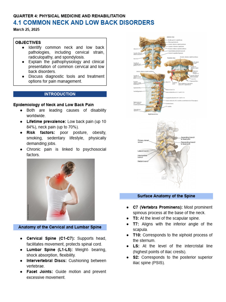 (Rehab Med) 4.1 Common Neck and Low Back Disorders | PDF | Back Pain ...