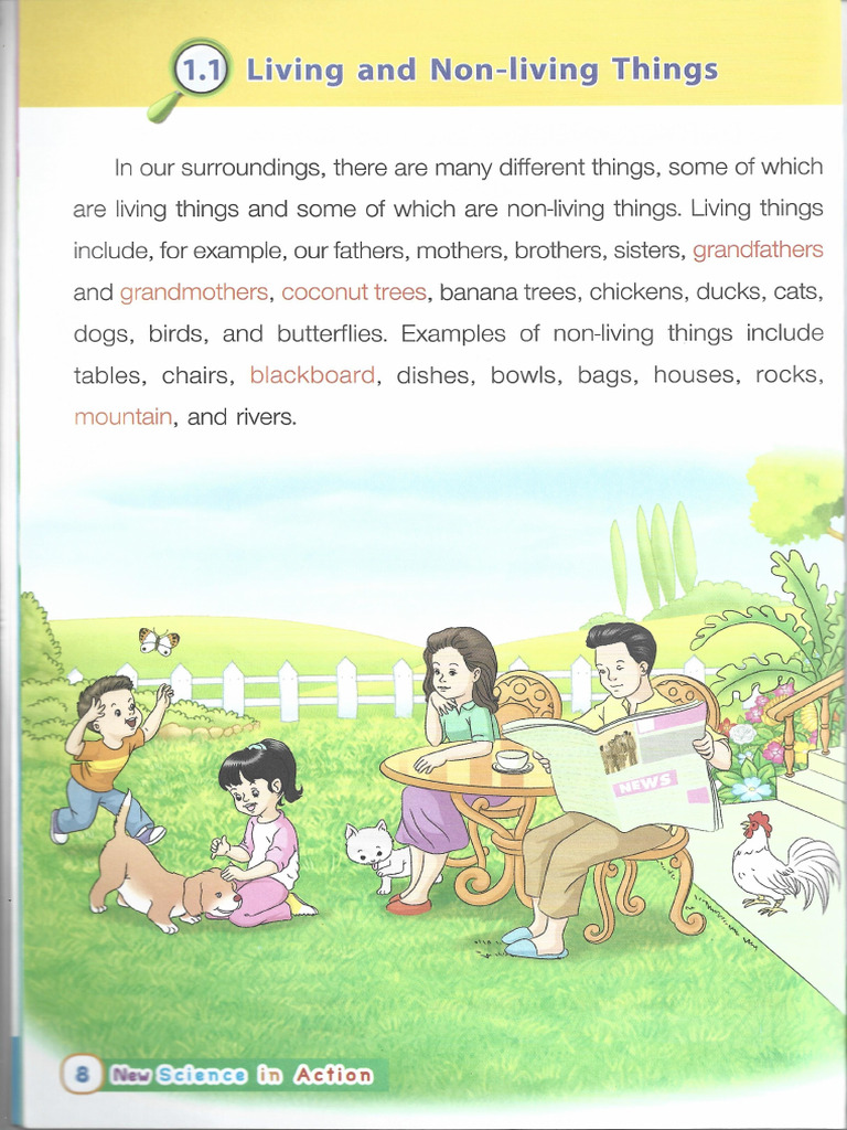 Unit 1 Things Around Us | PDF