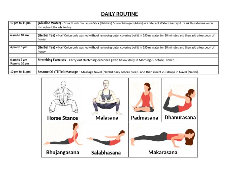 Daily Routine | PDF