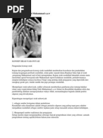 Download Kronologi Sirah Nabi Muhammad by Hidayat Hafid SN86292347 doc pdf