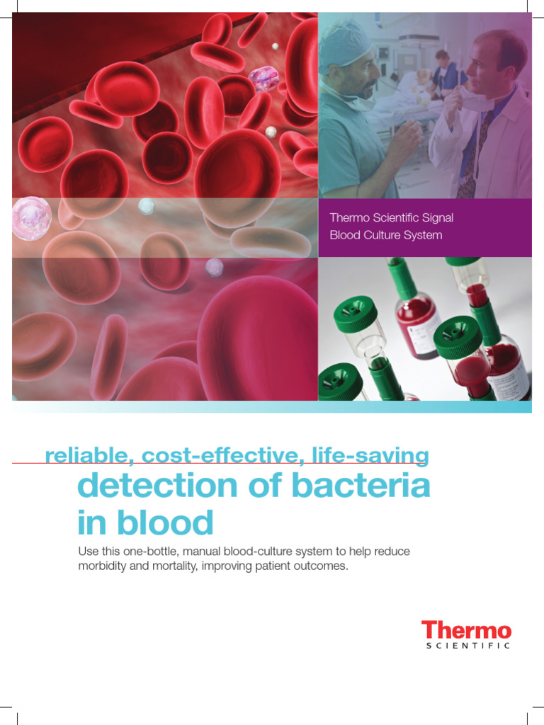 Efficient Blood Culture System for Bacteria Detection | PDF ...