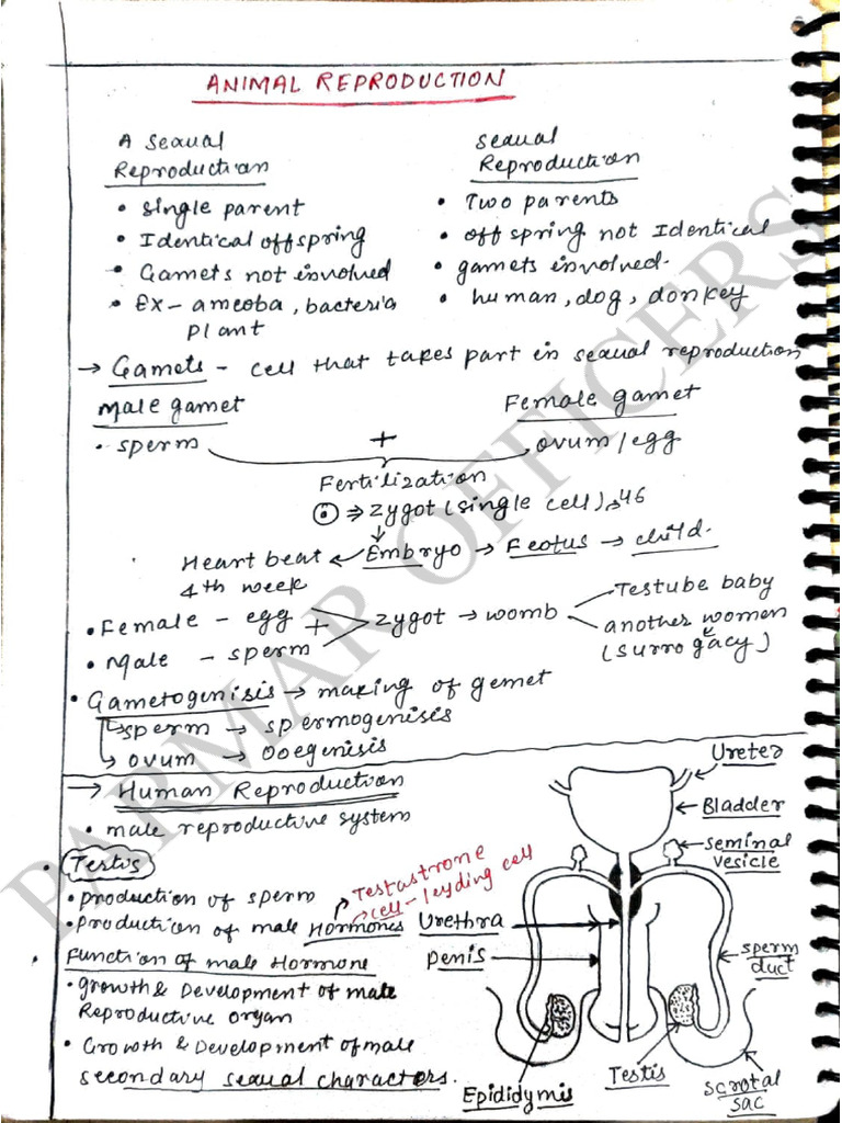 Biology All Chapter Notes - Parmar Officers | PDF
