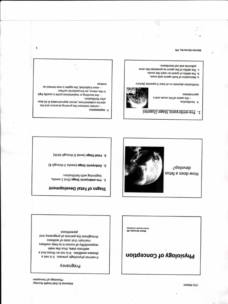 Physiology of Conception | PDF