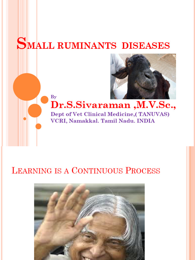 Small Ruminant Disease Management Guide | PDF | Sheep