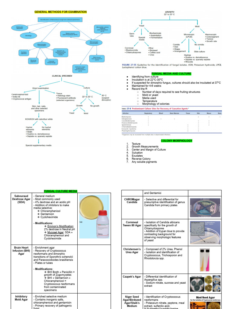 General Methods For Examination | PDF | Yeast | Fungus