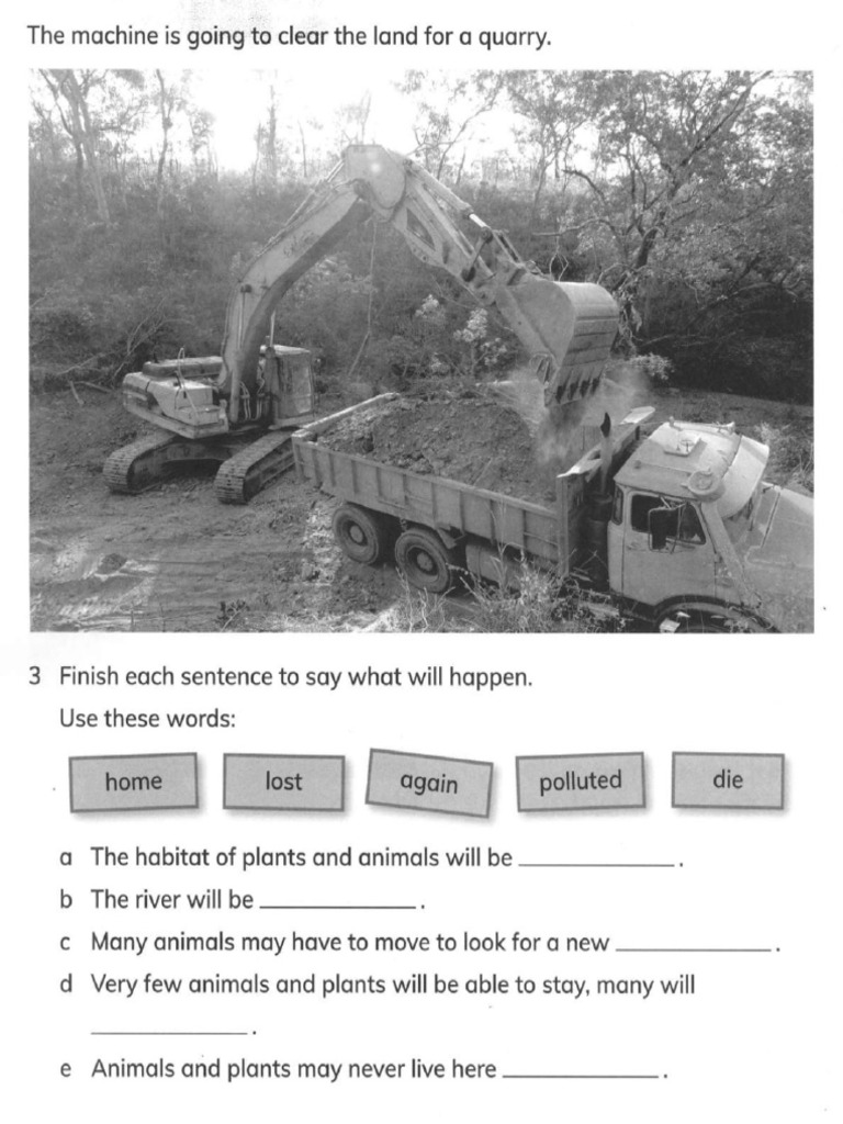 Year 2 Environment Pdf