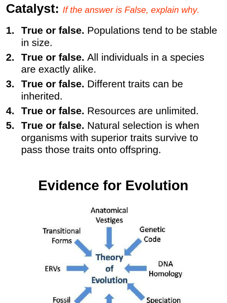 Evidence For Evolution | PDF | Evolution | Species