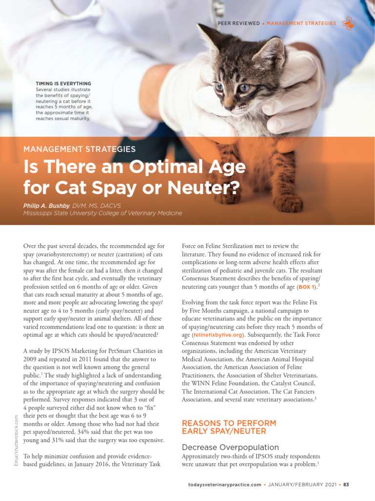 Optimal Age for Cat Spay/Neuter | PDF | Neutering | Cats