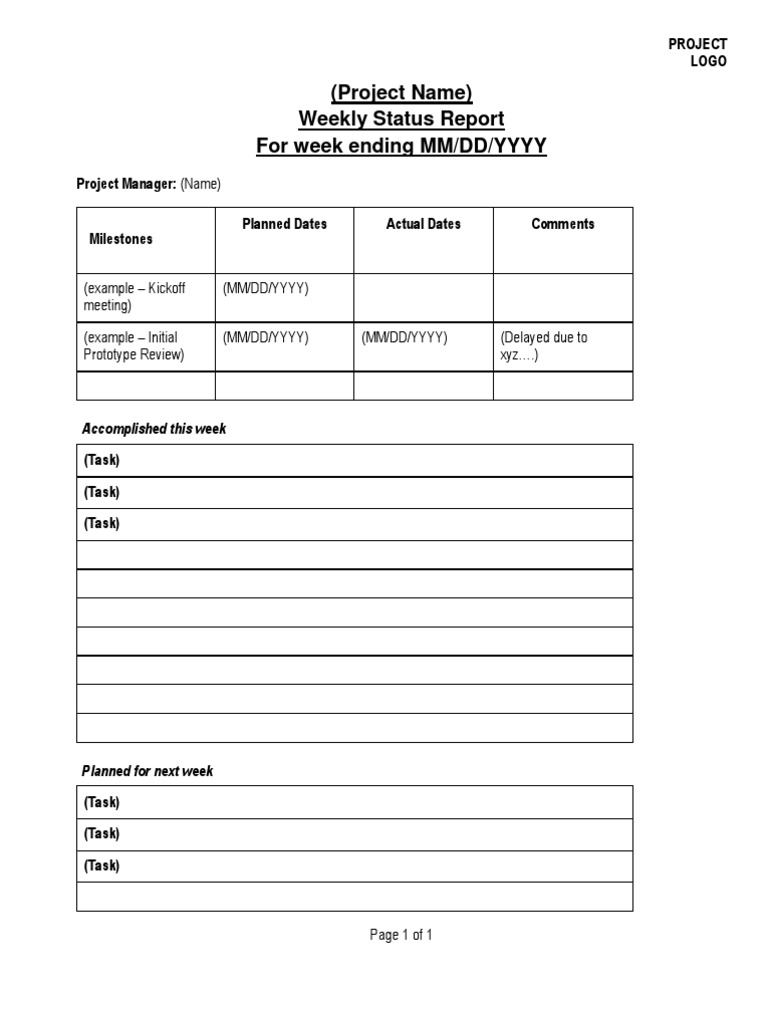 Weekly Project Status Report | PDF