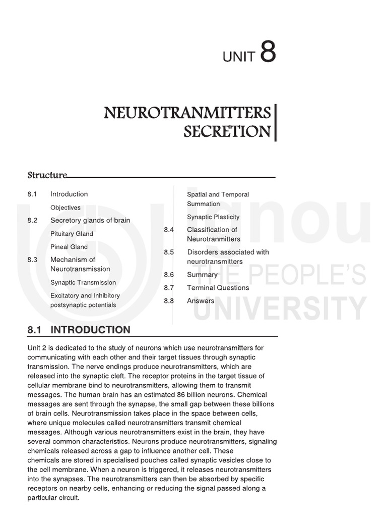 Unit 8 | PDF