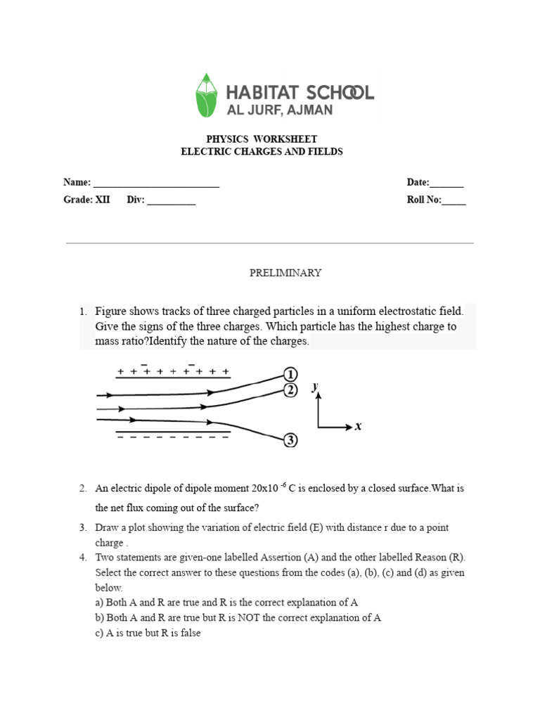 Electric Charges and Fields-Ws Ay 25-26 | PDF | Electric Field | Flux