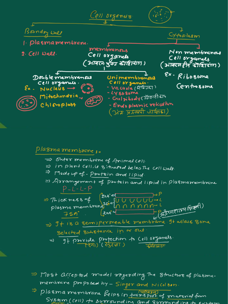 Bio 10 May | PDF
