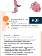 Transport