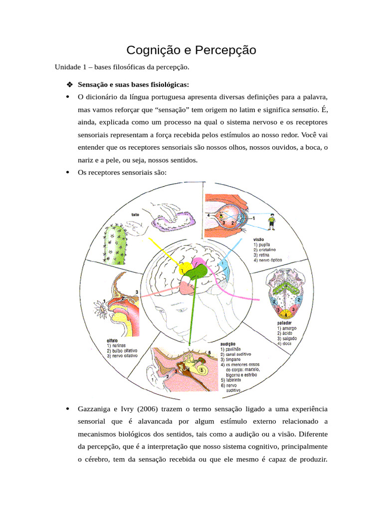 Bases Fisiológicas da Percepção Humana | PDF | Neurônio | Sistema ...