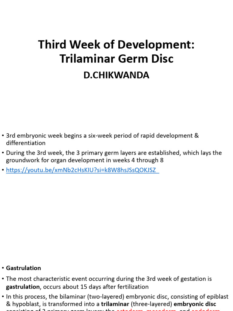 Third Week of Development - pptx1 | PDF | Embryo | Developmental Biology