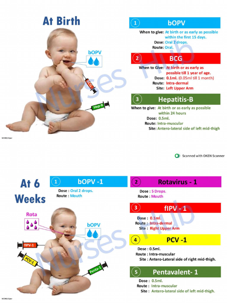 Immunization by Nurses Hub | PDF