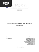 Escala de Fatiga de Piper | PDF | Enfermedades y trastornos humanos ...