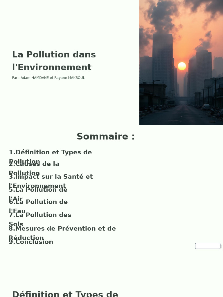 Comprendre la Pollution Environnementale | PDF | la pollution ...