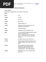 IsiXhosa Dialogue For Grade 8 PDF