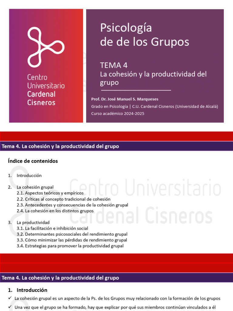 Cohesión y Productividad en Grupos | PDF | Cohesión grupal | Motivación