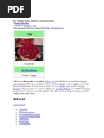 Download tugas tphp besok by Petrus Jese SN86316769 doc pdf