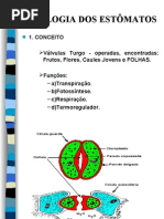 Fisiologia Dos Estomatos 2