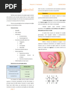 Classificação e Estadiamento POP-Q | PDF | Vagina | Especialidades médicas
