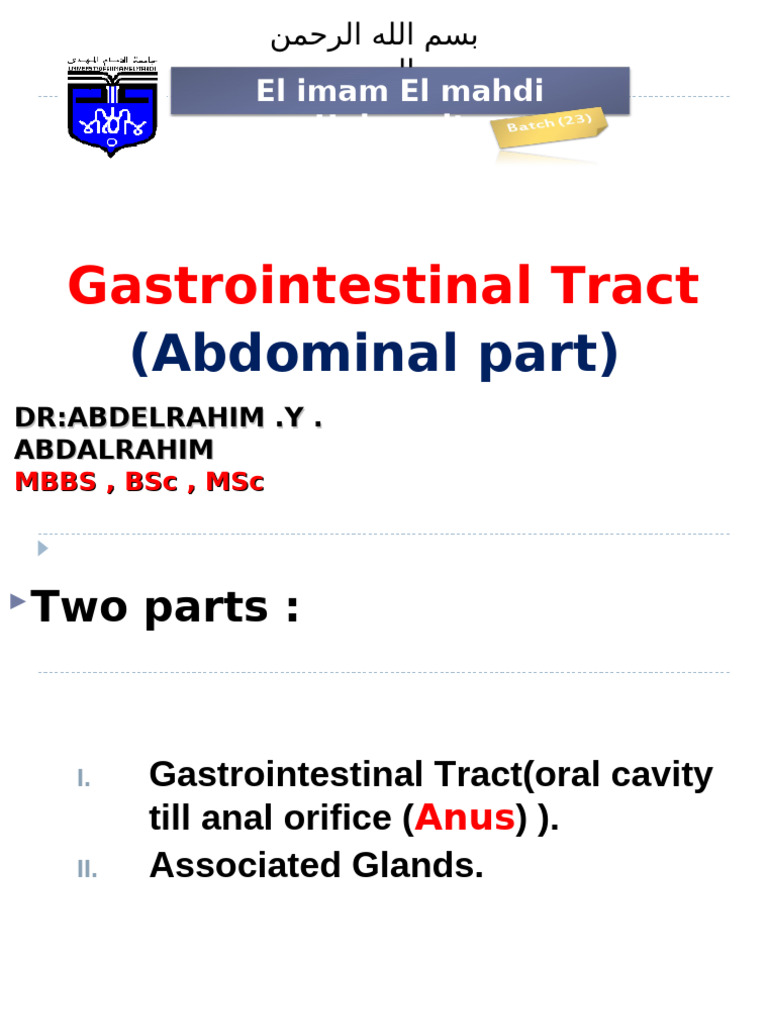 Lec 10 Histology of GIT 1 | PDF | Stomach | Gastrointestinal Tract