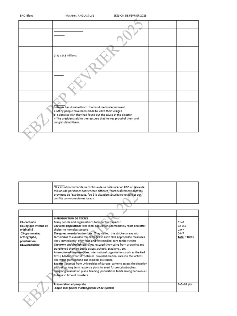BAC English Exam Criteria Overview | PDF | Humanitarian Aid | Emergency ...