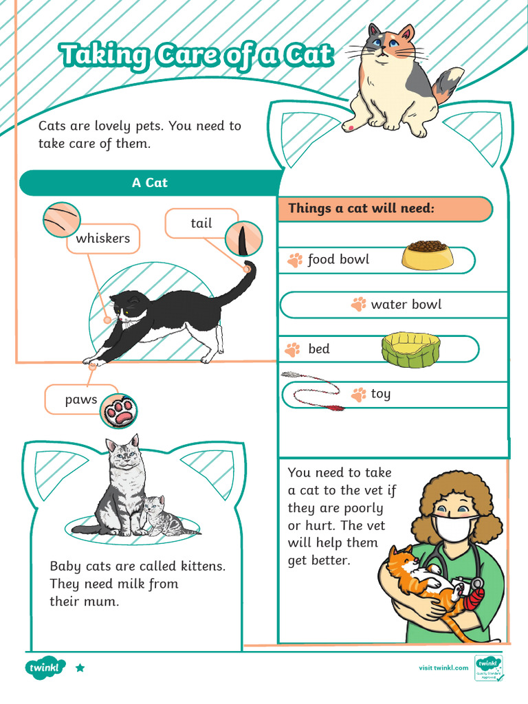 Essential Guide to Cat Care | PDF | Cats | Domesticated Animals