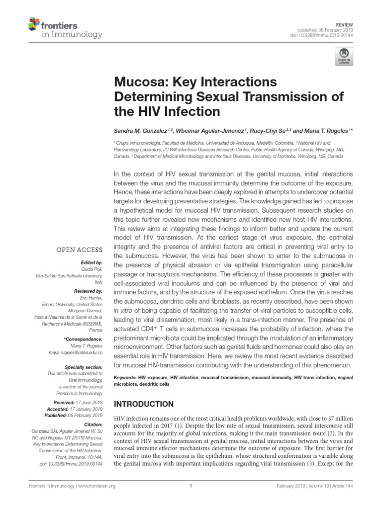 Mucosa - Key Interactions Determining Sexual Transmission of The HIV ...