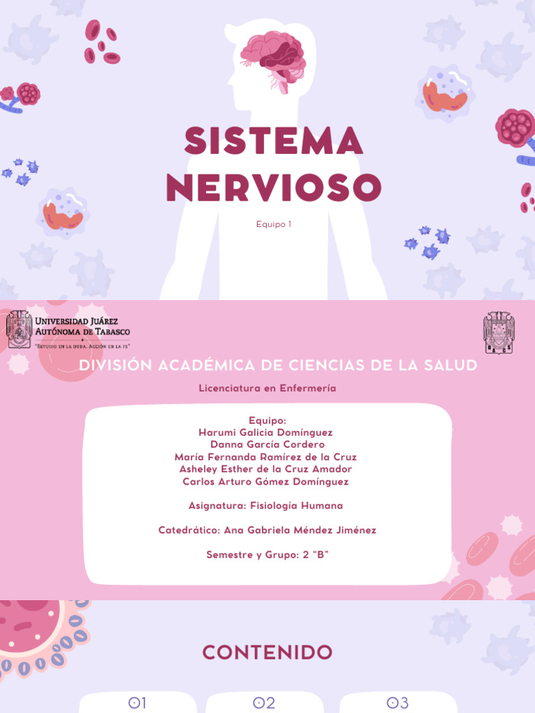 Presentación funciones del cuerpo humano orgánico ilustrado morado y ...