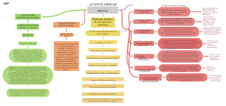 Accin de Libertad Bolivia | PDF | Detención (encarcelamiento) | Libertad