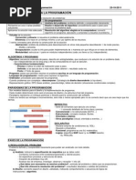 PRG01 - Introducción a la programación