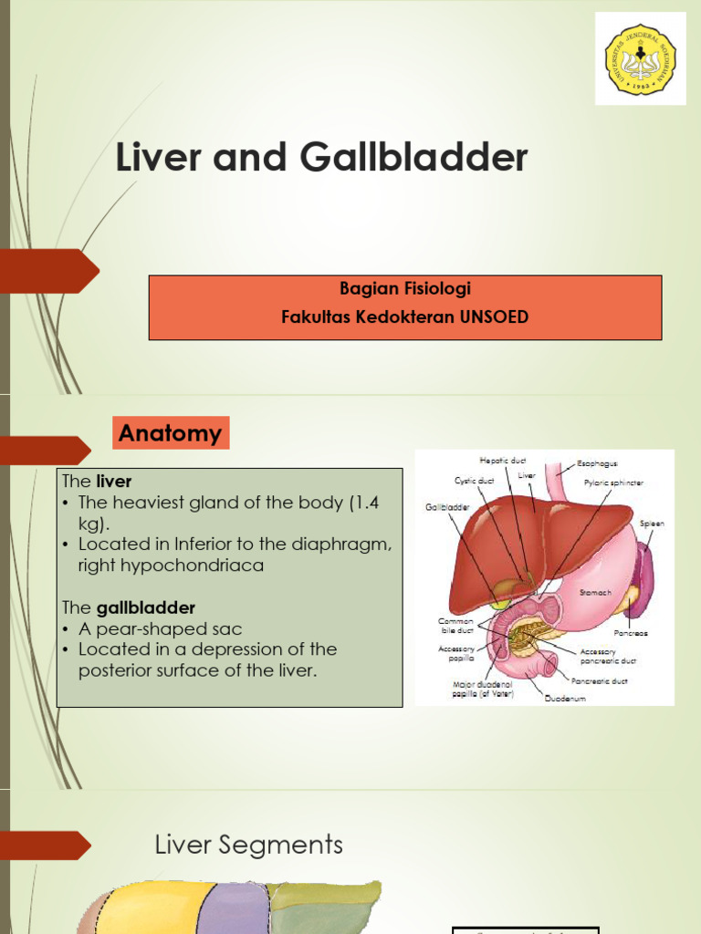 Liver and Gallbladder 2021 | PDF | Liver | Bile