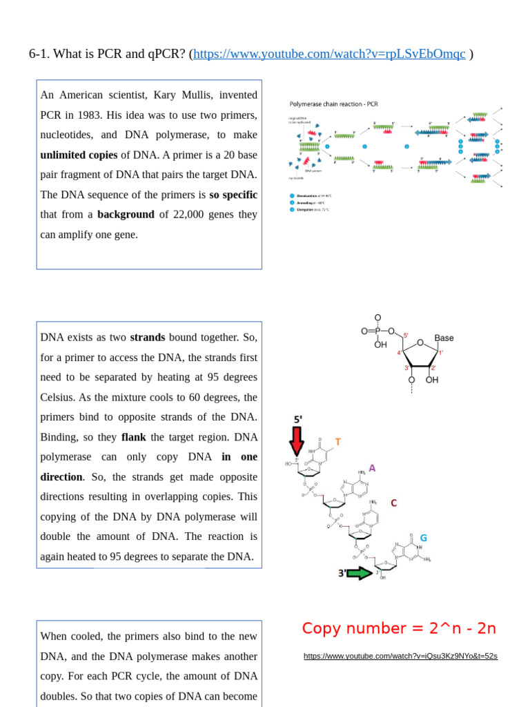 6-1what Is PCR and QPCR | PDF | Polymerase Chain Reaction | Real Time ...