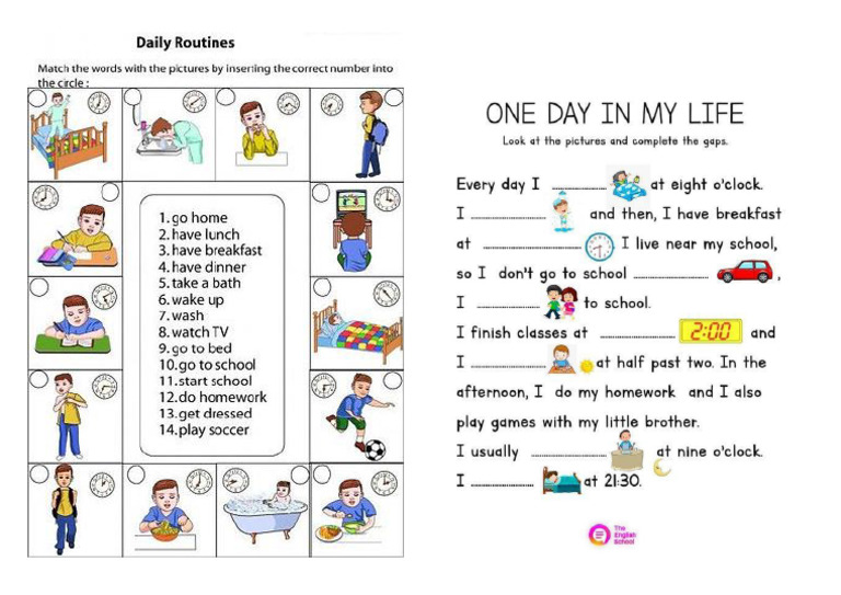 Diary Routine | PDF