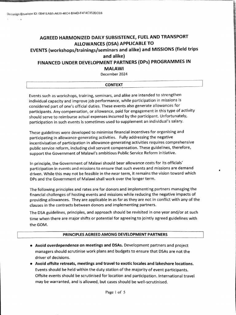 Harmonised DSA Guidelines Dec 2024 Signed | PDF