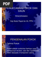 Download Asas Pengecaman Pokok Dan Daun - Hj Abdul Rajak BAli  PPN by Hilmy A Raffar SN86327559 doc pdf