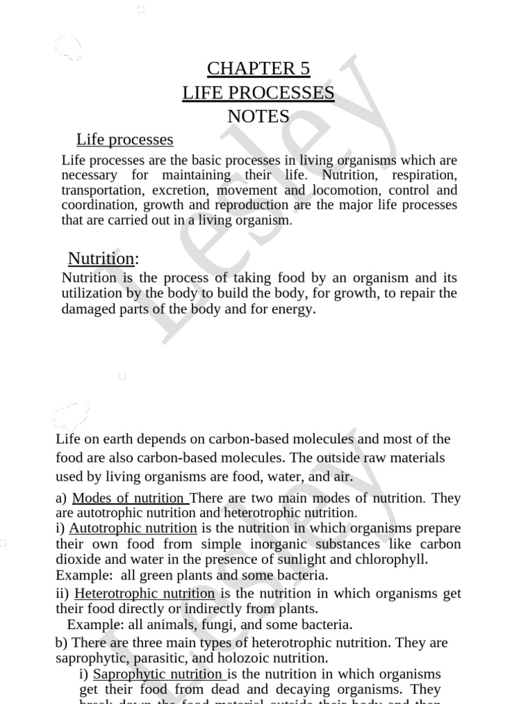 Life Processes: Nutrition and Photosynthesis | PDF | Stomach | Digestion