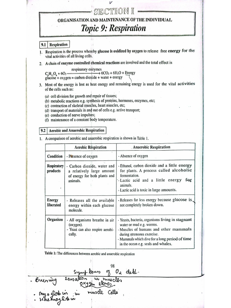 RESPIRATION | PDF