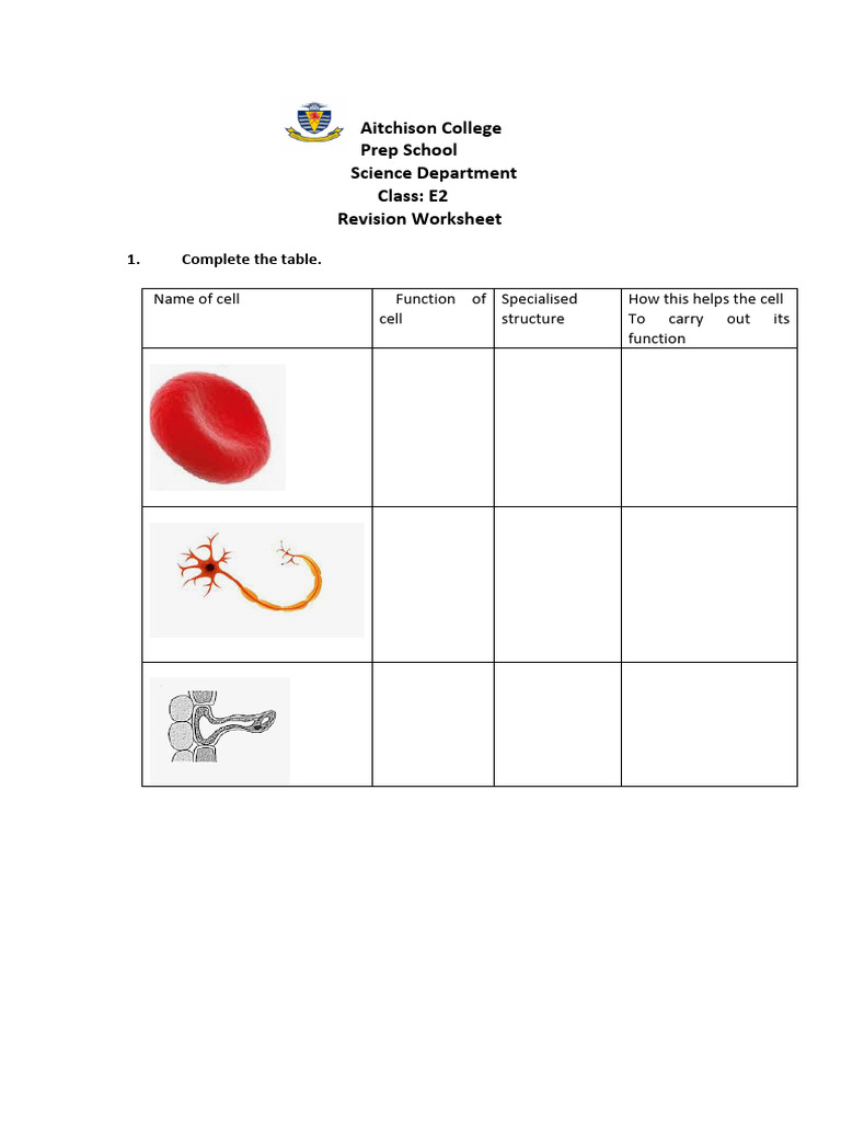 Aitchison College Prep School Science Department Class: E2 Revision ...