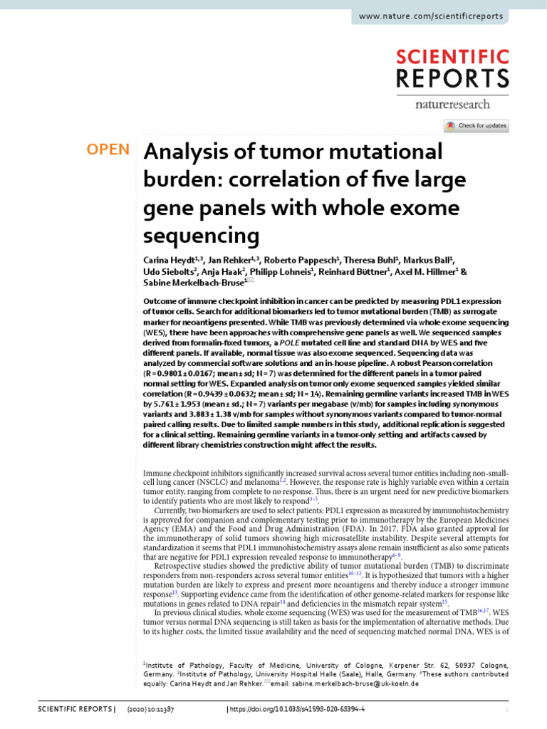 Analysis of Tumor Mutational Burden-Correlation of Five Large Gene ...