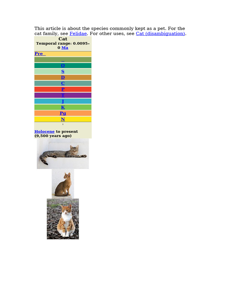 Domestic Cat Classification Overview | PDF