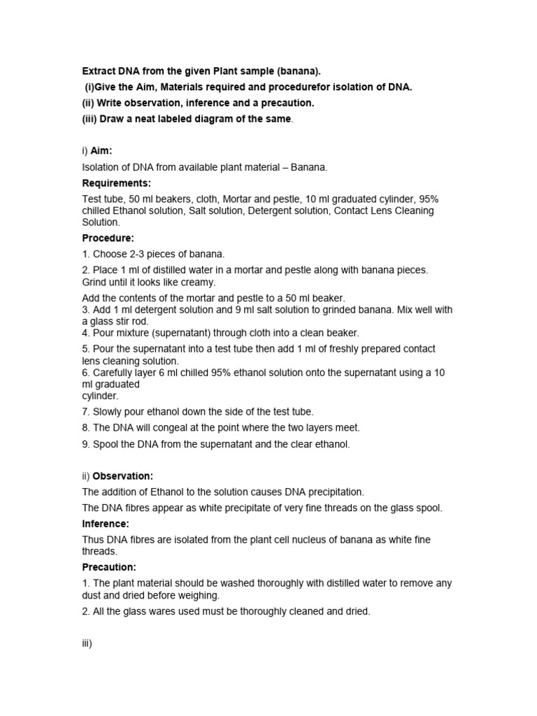 Dna Isolation Experiment | PDF | Testicle | Ovary