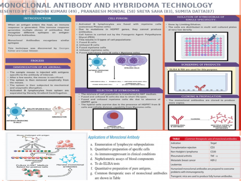 Monoclonal Antibody and Hybridoma Technology | PDF