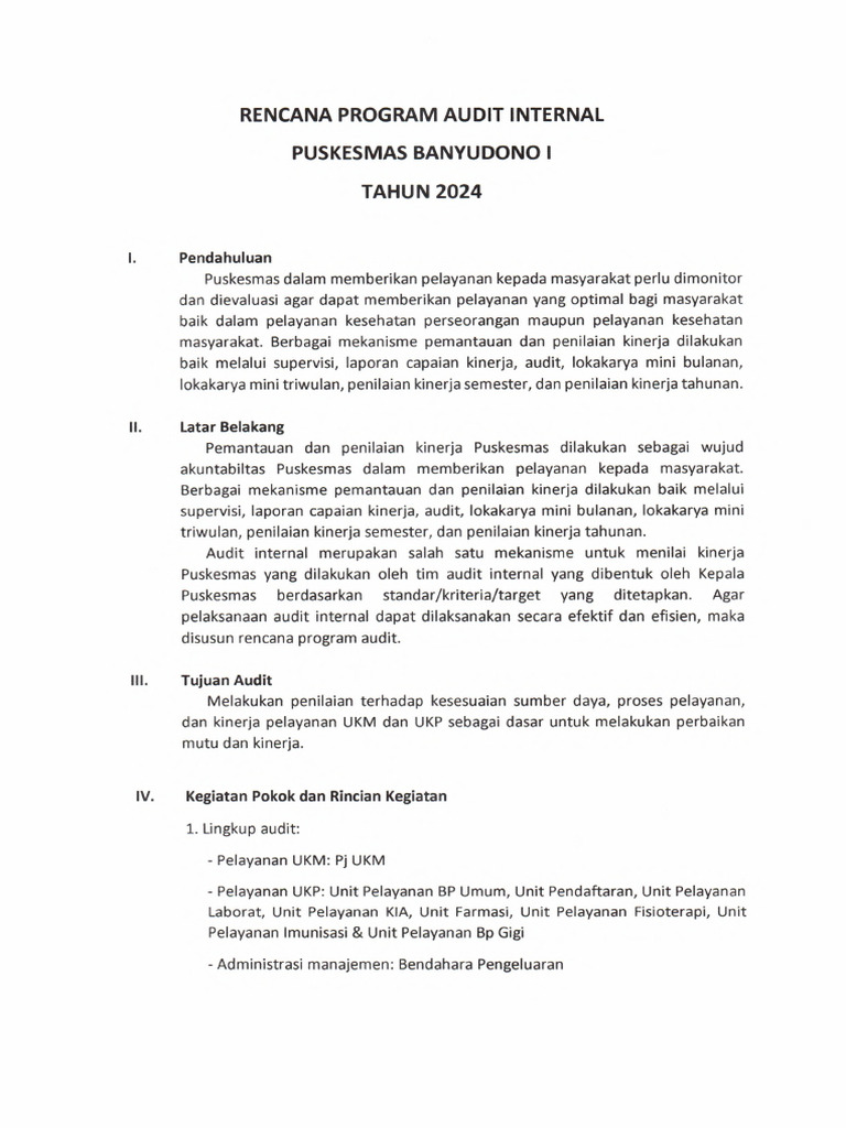 Rencana Audit Internal Puskesmas 2024 | PDF